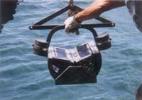 A open grab