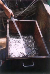 Sediments were washed through a sieve