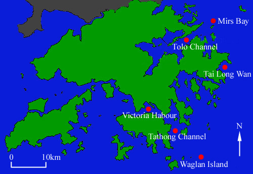 The grab locations in Hong Kong for collecting sedentary polychaetes