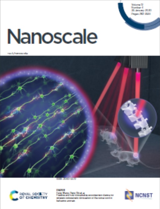 Nanoscale2020
