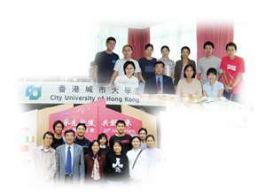 Phd thesis 2009 economics hongkong university