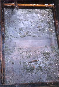 Fauna and sediment residues retained