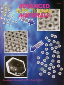 Organization of Matter on Different Size Scales: Monodisperse Nanocrystals and Their Superstructures
