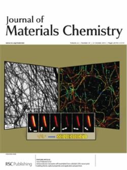 Semiconductor Nanowires Self-Assembled from Colloidal CdTe Nanocrystal Building Blocks: Optical Properties and Application Perspectives