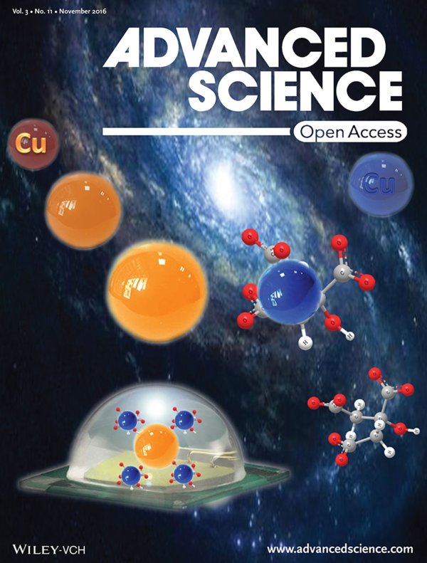Cover artwork for the paper in Advanced Science 2016