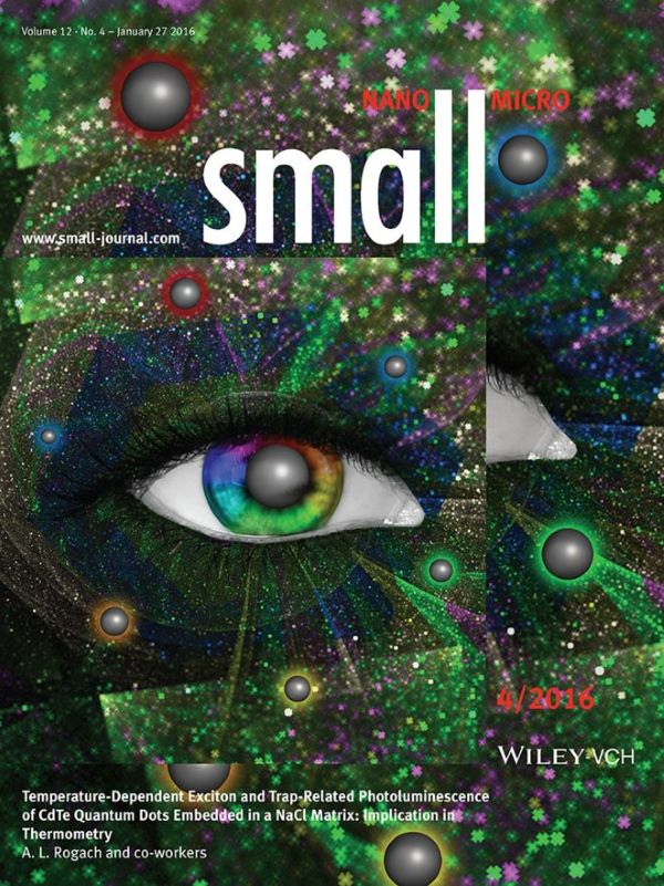 Cover artwork for the paper in Small 2016