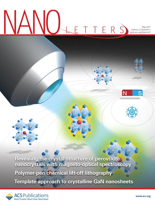 Cover artwork for the paper in Nano Letters 2017