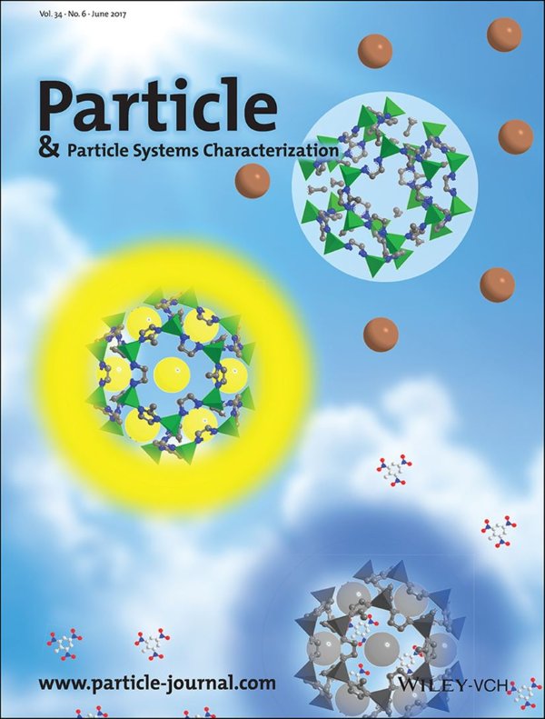 Cover artwork for the paper in Particle 2017