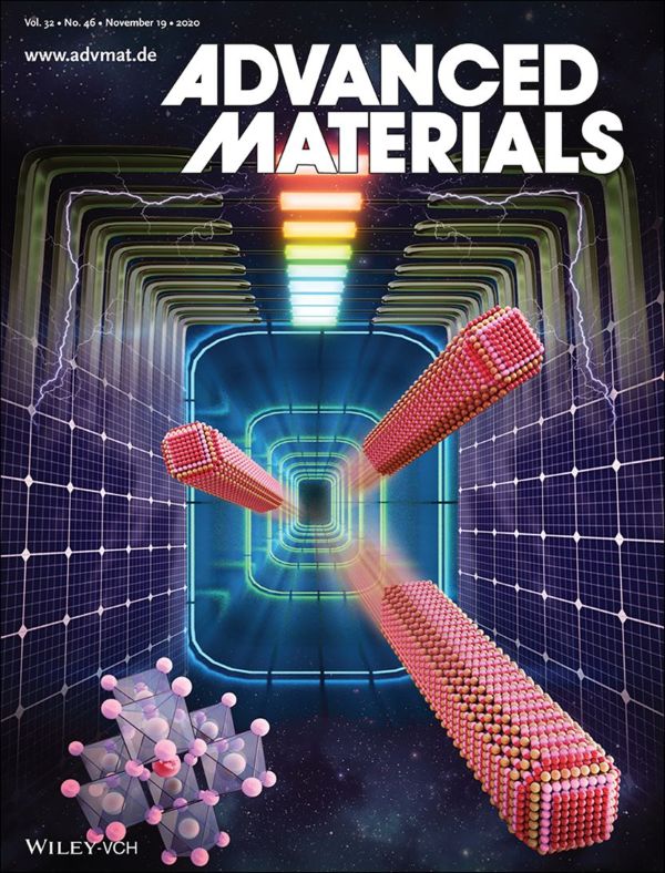 Cover artwork for the paper in Advanced Materials 2020