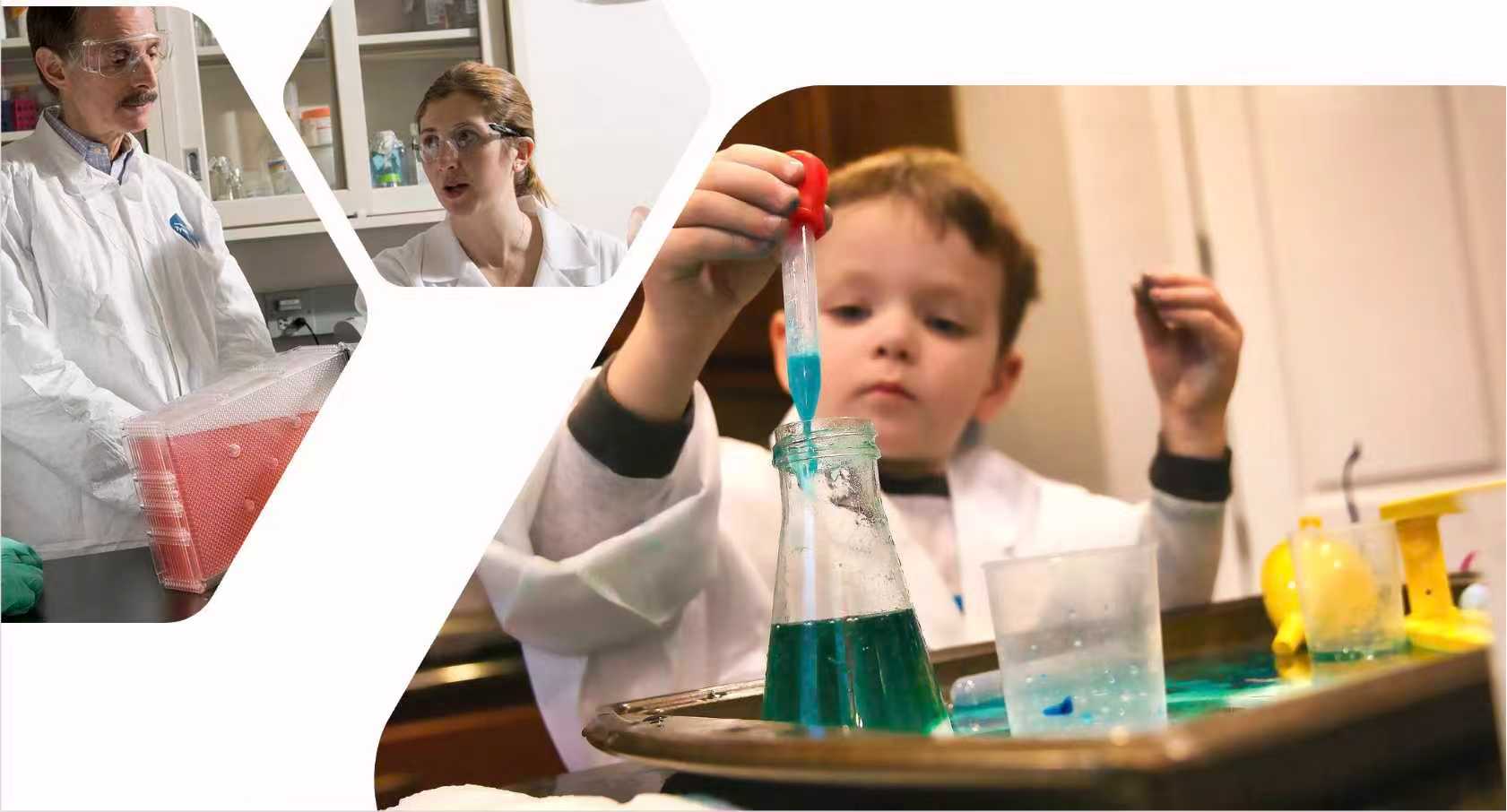 Volunteers guiding visitors through hands-on physics demonstrations